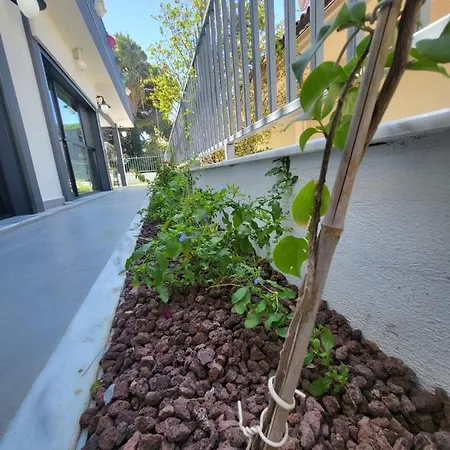 Lulubay & 쿠사다시